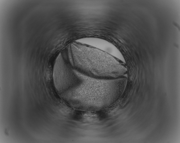 X0000092230515200710121220