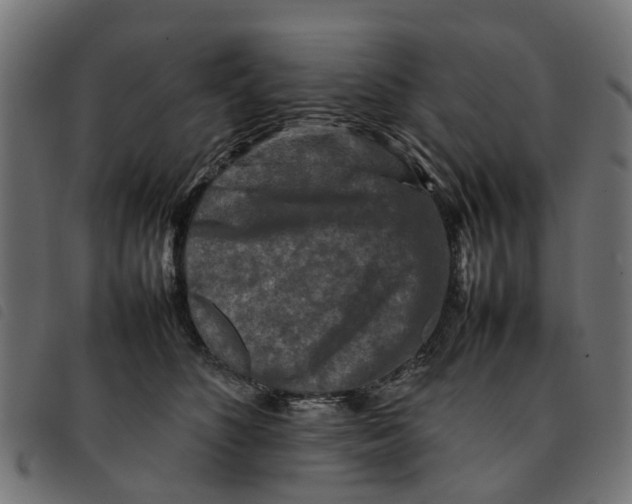 X0000092230516200710121220