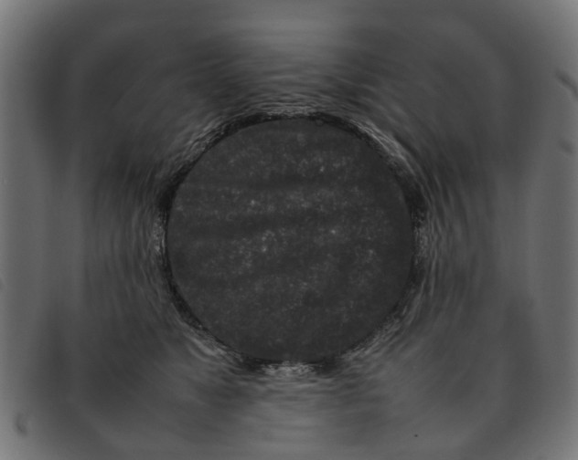 X0000092230517200710121220