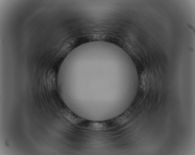 X0000092230522200710121220