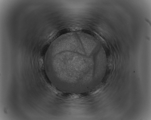 X0000092230523200710121220