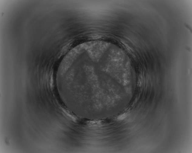 X0000092230524200710121220