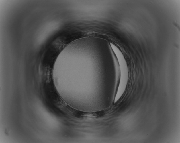 X0000092230525200710121220