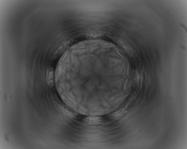 X0000092230526200710121220