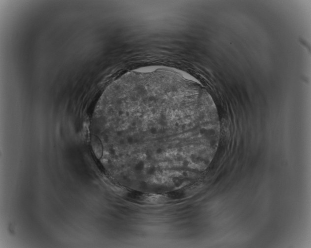 X0000092230527200710121220