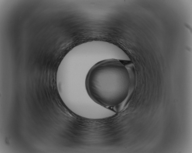 X0000092230528200710121220