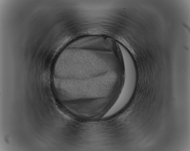 X0000092230530200710121220