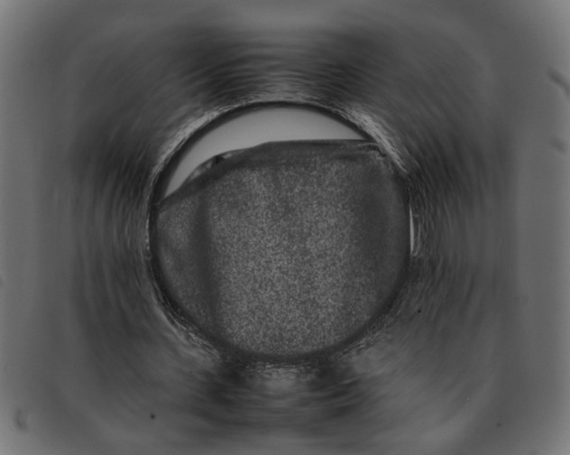 X0000092230531200710121220