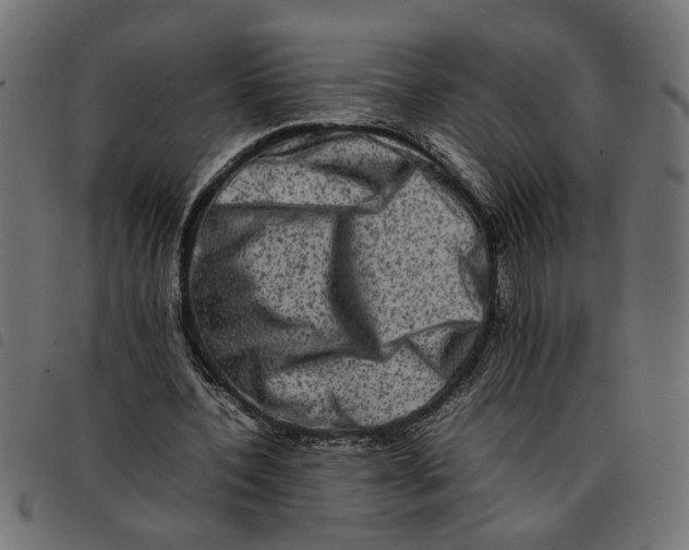 X0000092230532200710121220