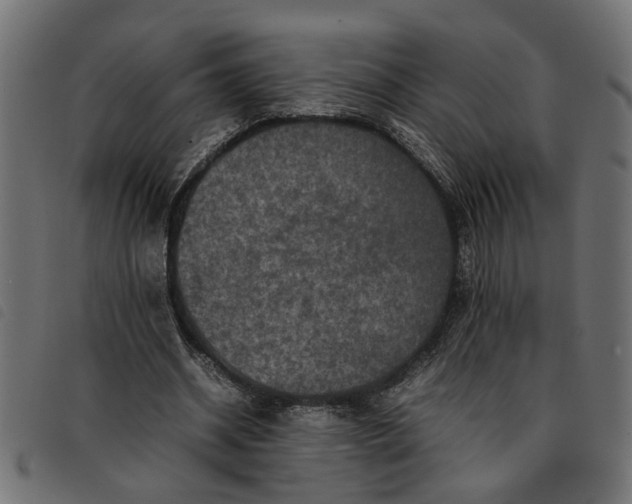 X0000092230534200710121220