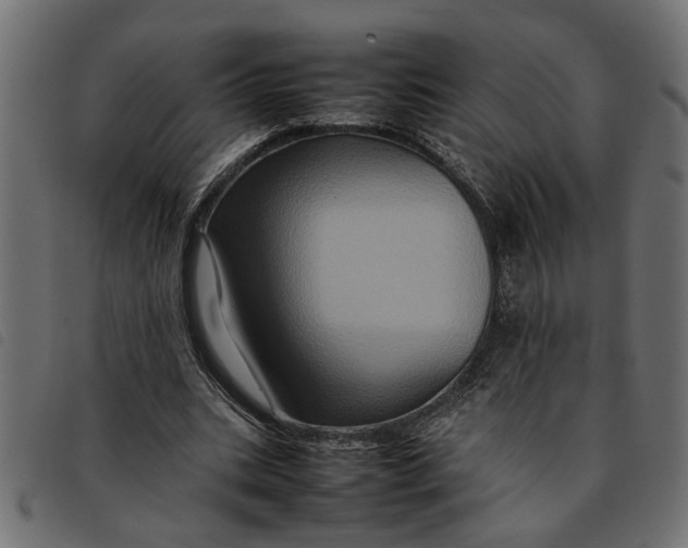 X0000092230535200710121220