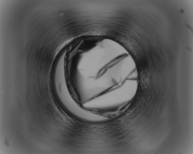 X0000092230536200710121220