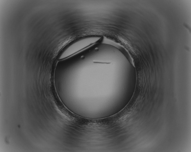 X0000092230538200710121220