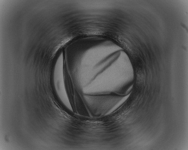 X0000092230539200710121220