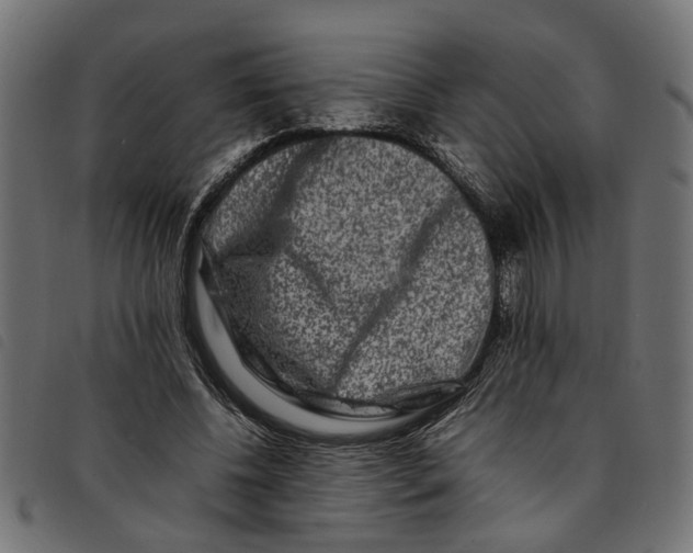 X0000092230540200710121220