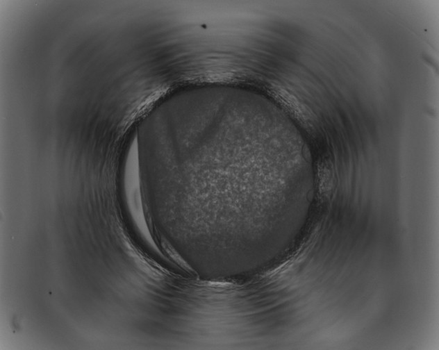 X0000092230542200710121220