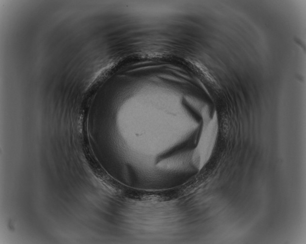 X0000092230543200710121220