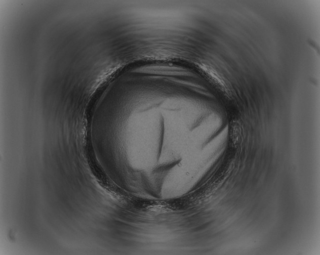 X0000092230544200710121220