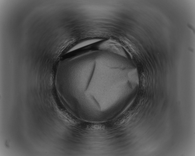 X0000092230546200710121220