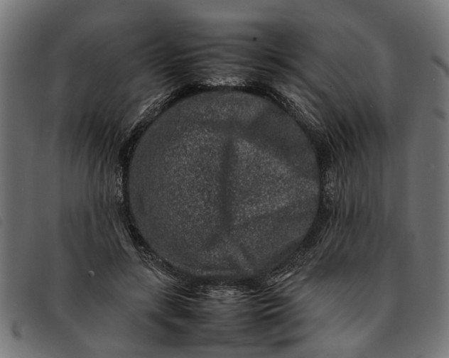 X0000092230547200710121220