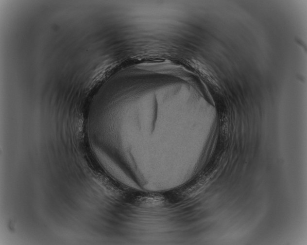 X0000092230548200710121220