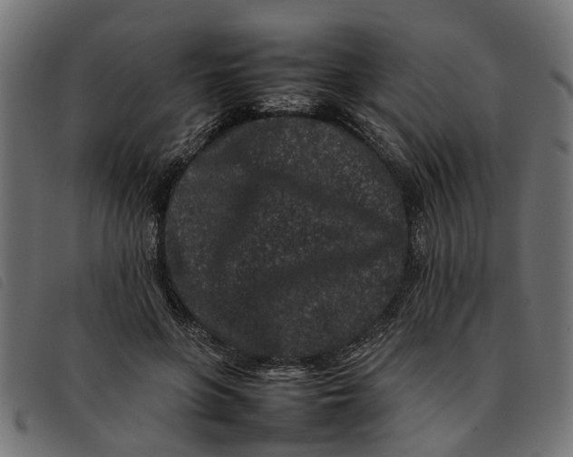 X0000092230551200710121220