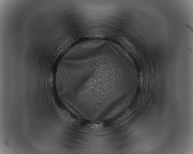 X0000092230552200710121220