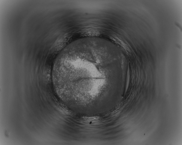 X0000092230553200710121220