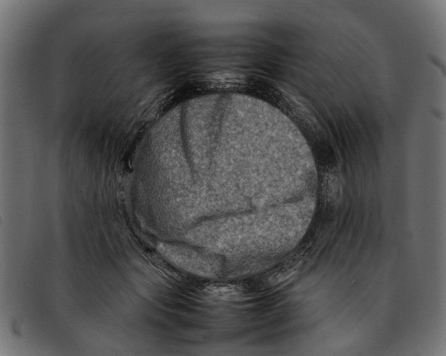 X0000092230557200710121220