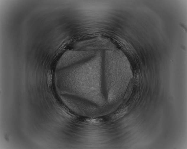 X0000092230558200710121220