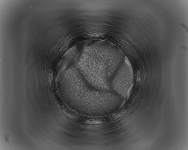 X0000092230559200710121220