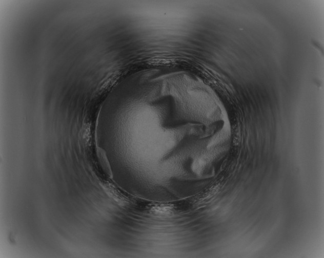 X0000092230560200710121220