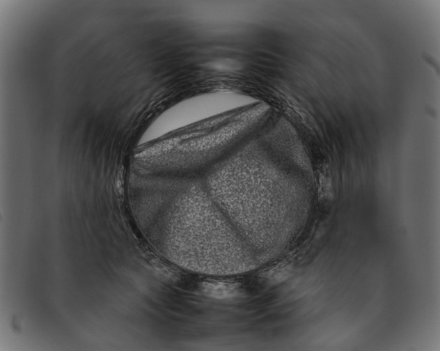 X0000092230561200710121220