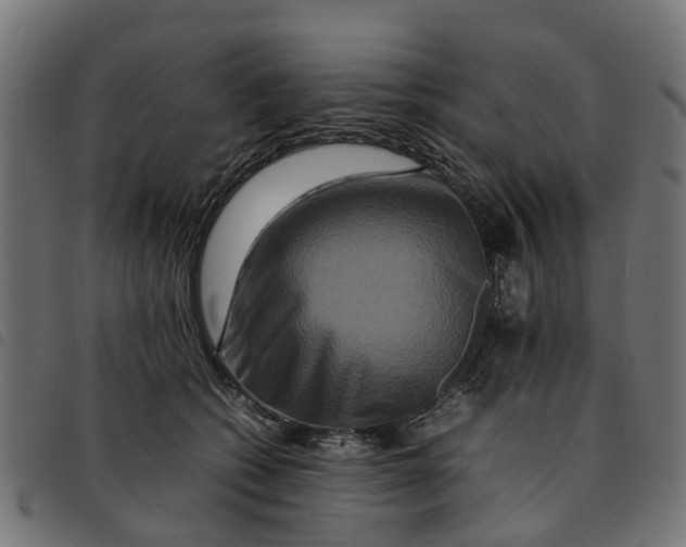 X0000092230562200710121220