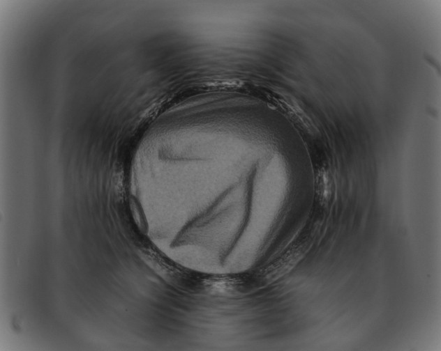 X0000092230564200710121220