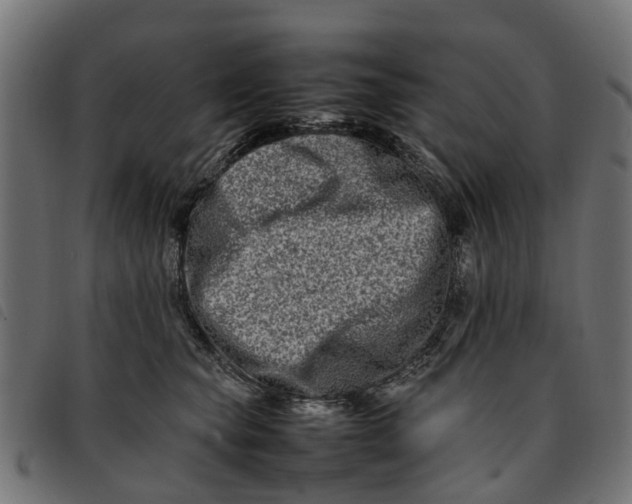 X0000092230565200710121220