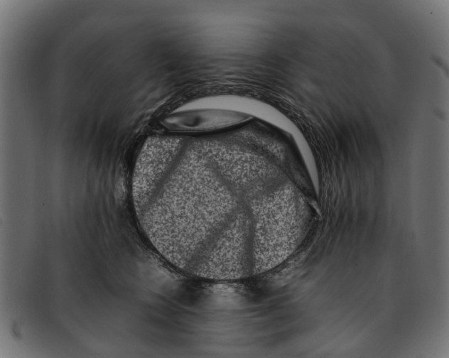 X0000092230566200710121220