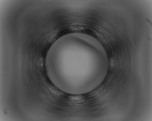 X0000092230567200710121220