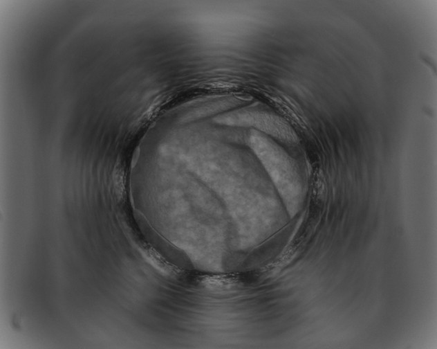 X0000092230568200710121220