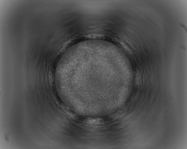 X0000092230569200710121220