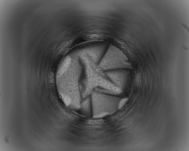 X0000092230571200710121220