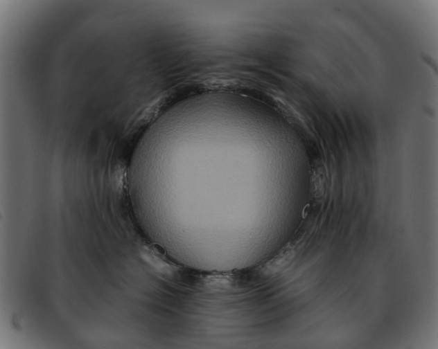 X0000092230574200710121220