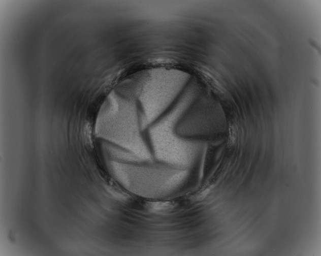 X0000092230575200710121220