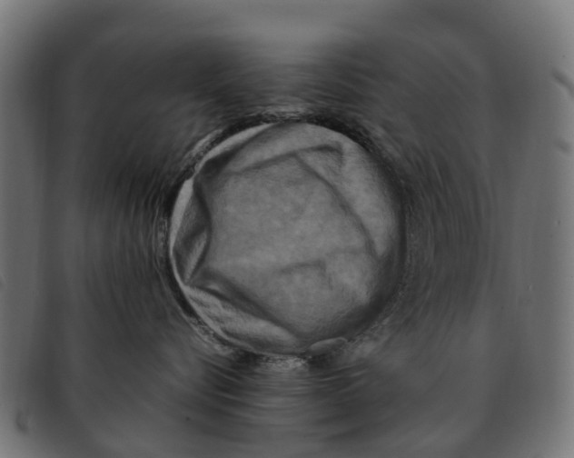 X0000092230576200710121220