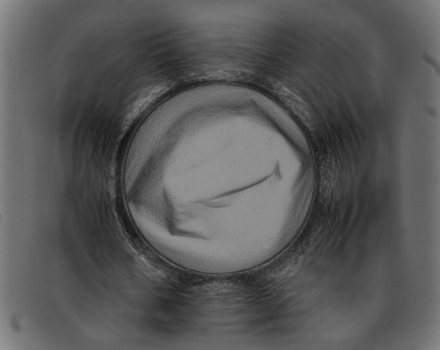 X0000092230578200710121220