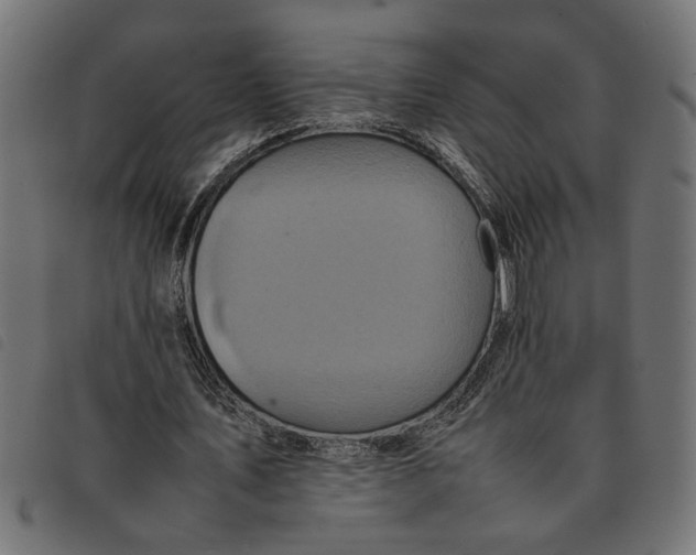 X0000092230579200710121220