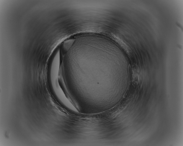 X0000092230580200710121220