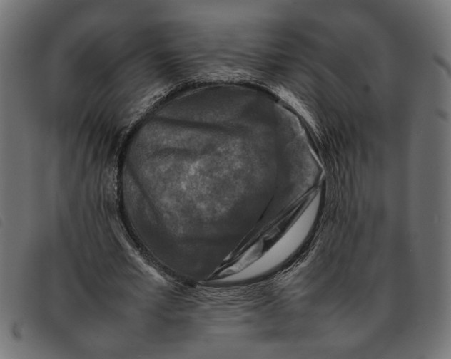 X0000092230581200710121220