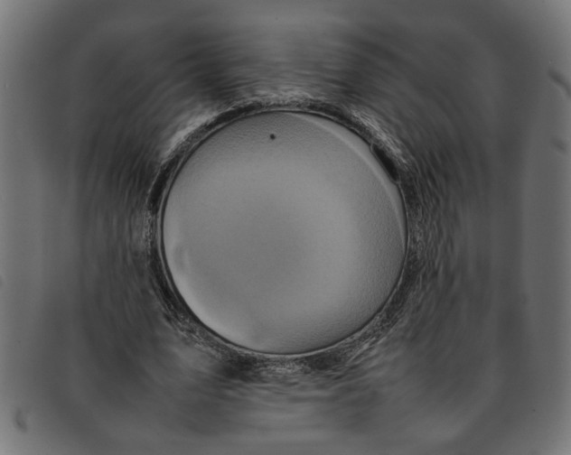 X0000092230583200710121219