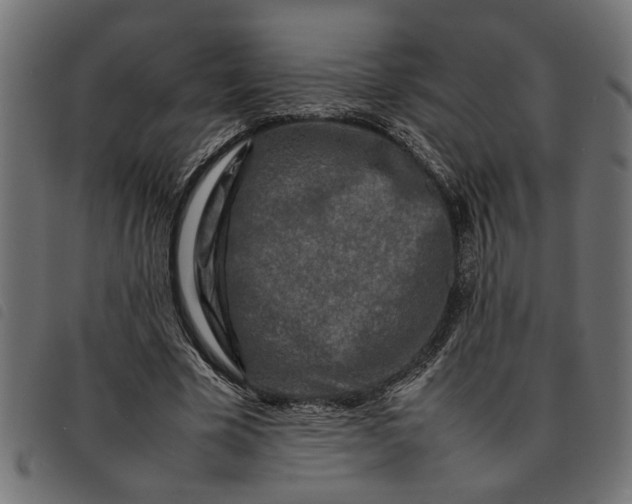 X0000092230585200710121219